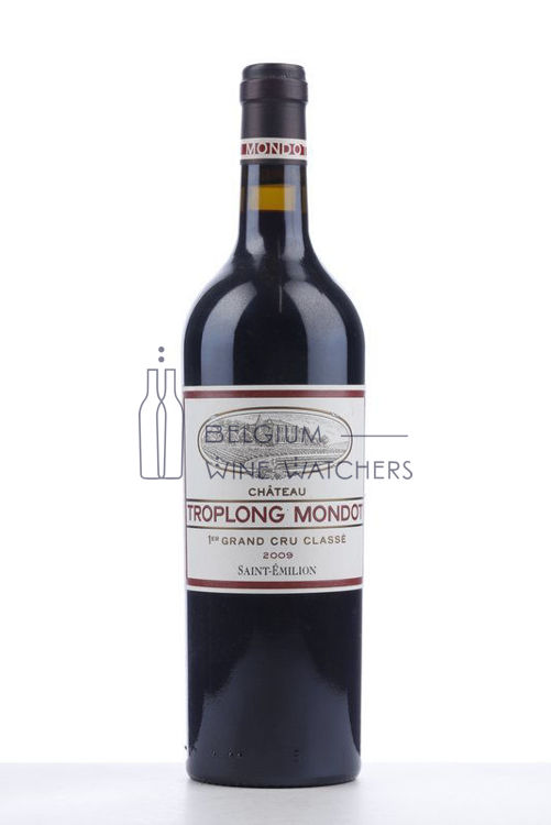 Picture of 2009 TROPLONG MONDOT